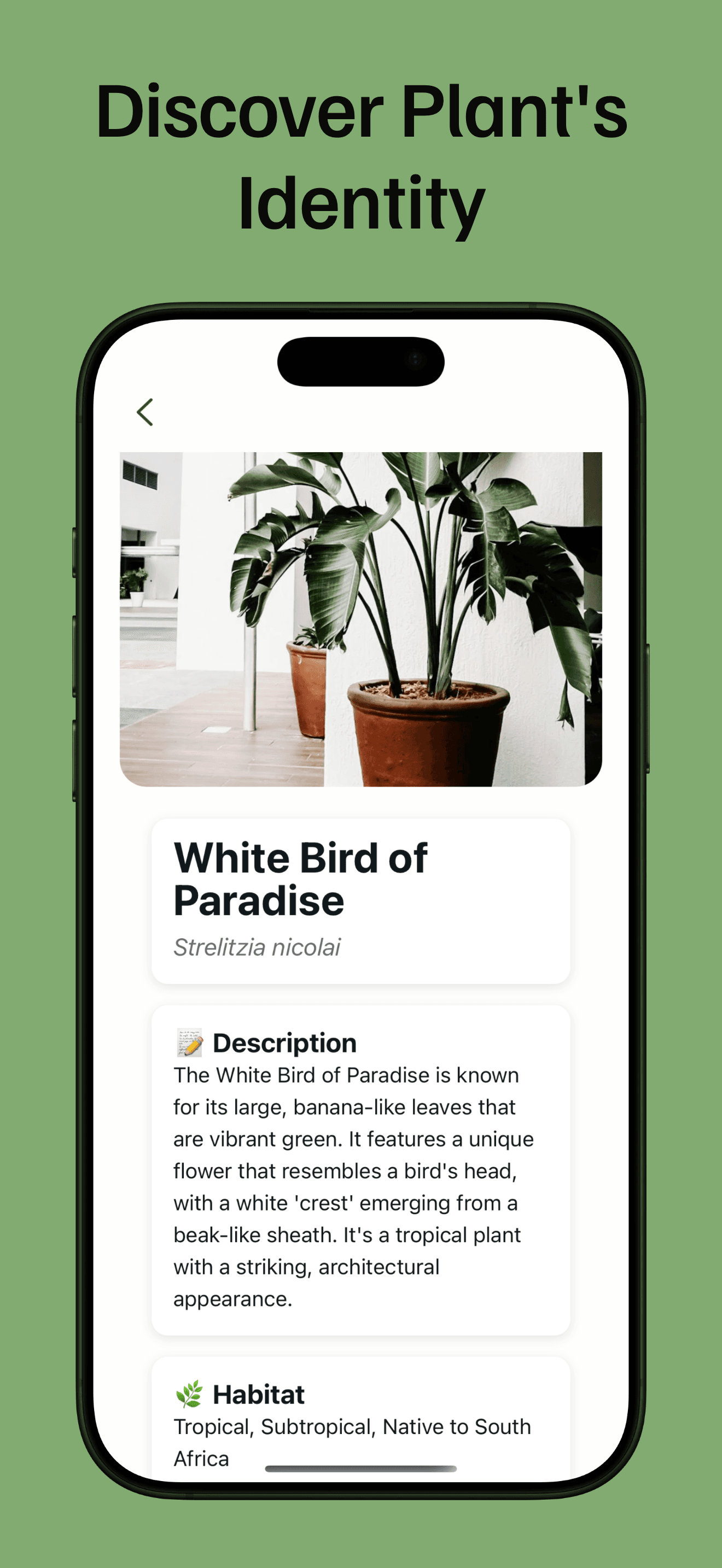 PlantLore preview 2