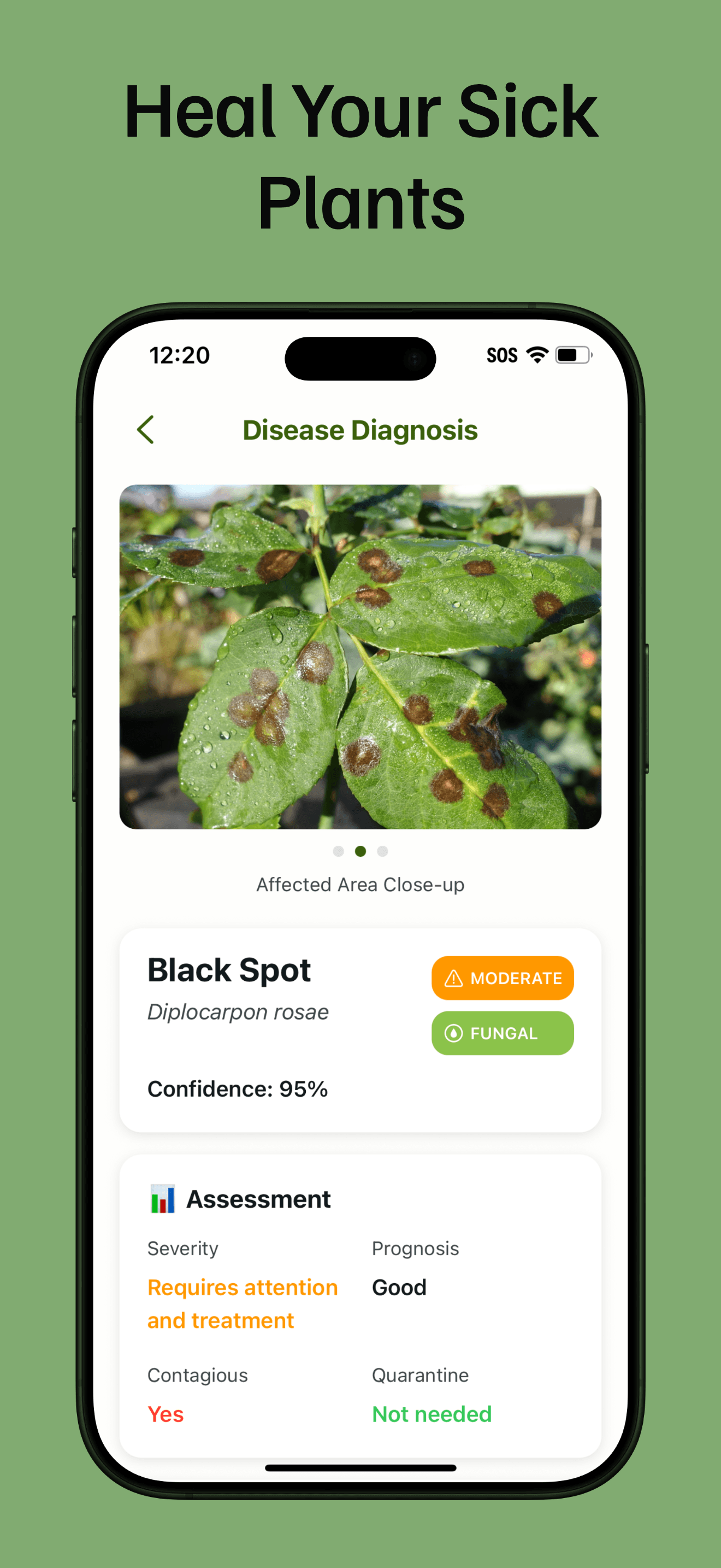 PlantLore preview 3