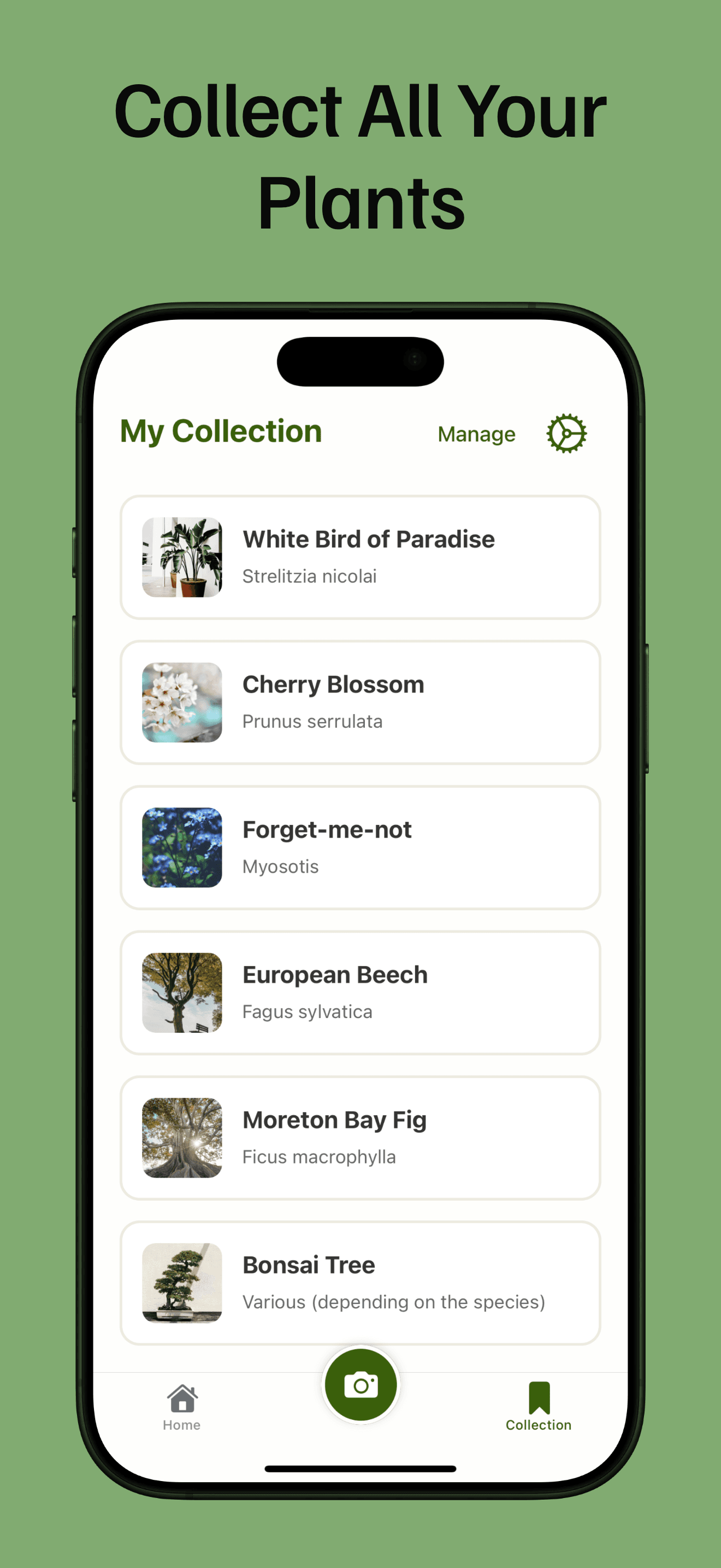 PlantLore preview 4